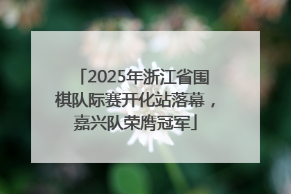 2025年浙江省围棋队际赛开化站落幕，嘉兴队荣膺冠军