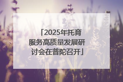 2025年托育服务高质量发展研讨会在普陀召开