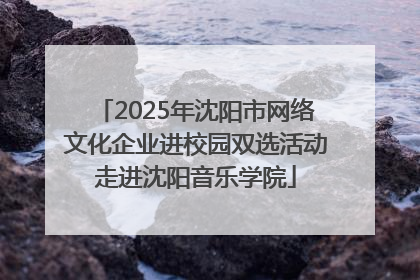 2025年沈阳市网络文化企业进校园双选活动走进沈阳音乐学院