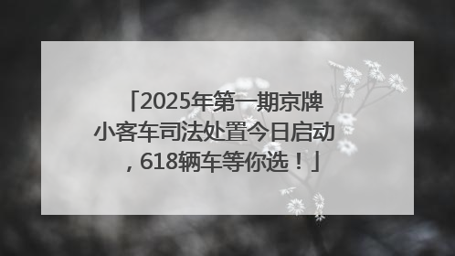 2025年第一期京牌小客车司法处置今日启动，618辆车等你选！