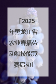 2025年黑龙江省农业春播劳动和技能竞赛启动