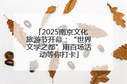 2025南京文化旅游节开幕：“世界文学之都”用百场活动等你打卡