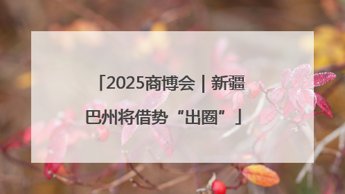 2025商博会｜新疆巴州将借势“出圈”