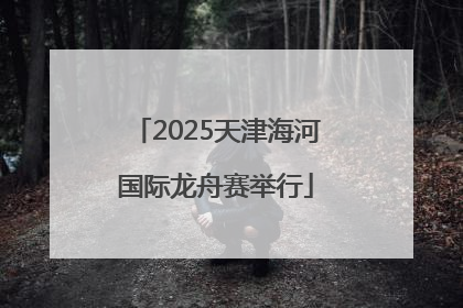2025天津海河国际龙舟赛举行