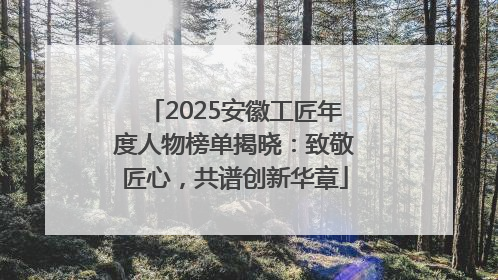 2025安徽工匠年度人物榜单揭晓：致敬匠心，共谱创新华章