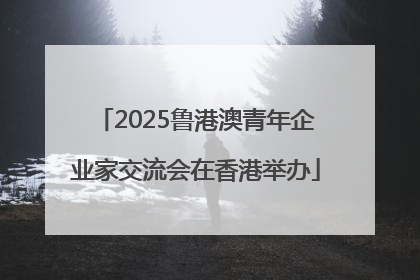 2025鲁港澳青年企业家交流会在香港举办