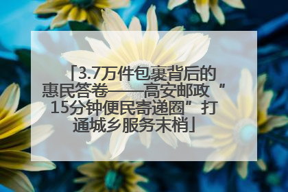 3.7万件包裹背后的惠民答卷——高安邮政“15分钟便民寄递圈”打通城乡服务末梢