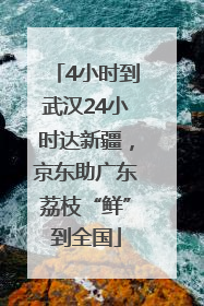 4小时到武汉24小时达新疆，京东助广东荔枝“鲜”到全国