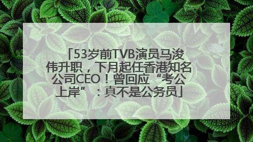 53岁前TVB演员马浚伟升职，下月起任香港知名公司CEO！曾回应“考公上岸”：真不是公务员