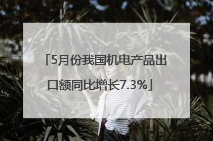 5月份我国机电产品出口额同比增长7.3%