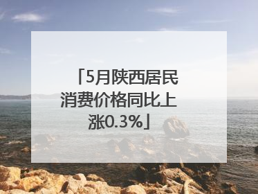 5月陕西居民消费价格同比上涨0.3%