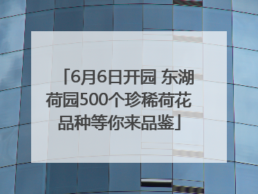 6月6日开园 东湖荷园500个珍稀荷花品种等你来品鉴