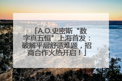 A.O.史密斯“数字真五恒”上海首发：破解平层舒适难题，招商合作火热开启！