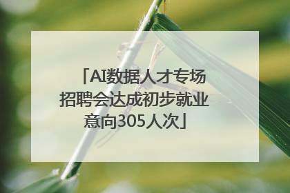 AI数据人才专场招聘会达成初步就业意向305人次
