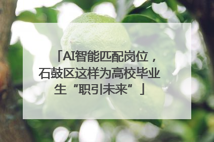 AI智能匹配岗位，石鼓区这样为高校毕业生“职引未来”