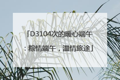 D3104次的暖心端午：粽情端午，温情旅途