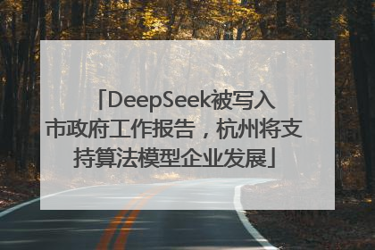 DeepSeek被写入市政府工作报告，杭州将支持算法模型企业发展