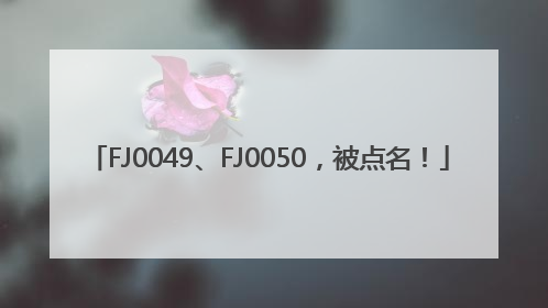 FJ0049、FJ0050，被点名！