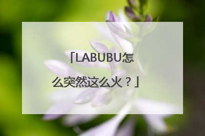 LABUBU怎么突然这么火？
