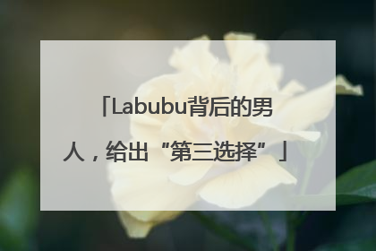 Labubu背后的男人，给出“第三选择”